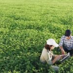 jornada virtual sector agroalimentario