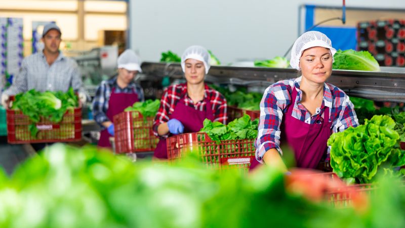 sector agroalimentario